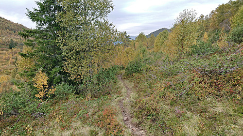 The trail west from Nyestølen Øst