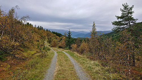 The gravel road west from Nyestølen with Vangsvatnet in the distance