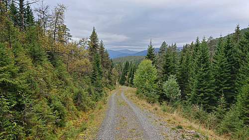 The gravel road west from Nyestølen