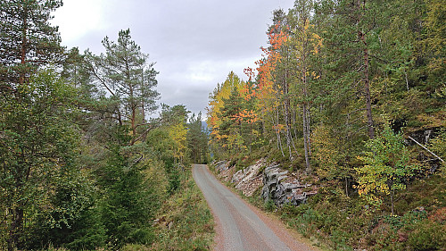 Upper part of Nye Tverrbergsvegen