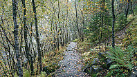 The Skjervsfossen path
