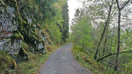 Bakkavegen