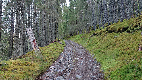 The tractor road on the other side of the bridge