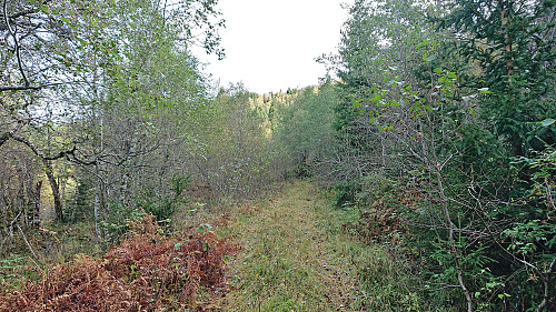 The upper part of the tractor road