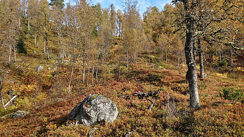 Off-trail towards the summit