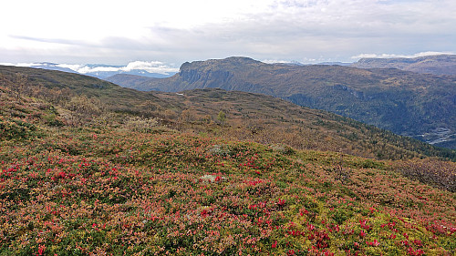 Horganipen and Høgahorgi from the ascent