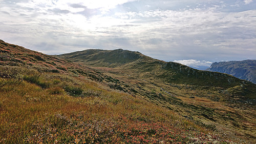 Reinsgrønut from the ascent