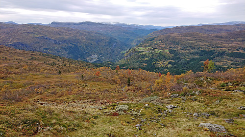 Descending towards the tractor road