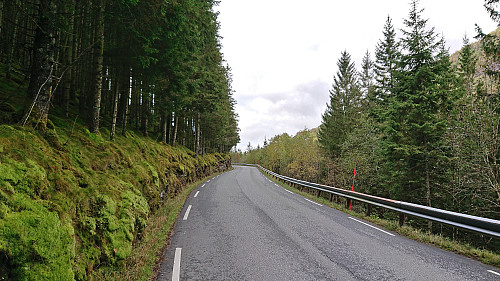 Dalavegen to Hamlagrø