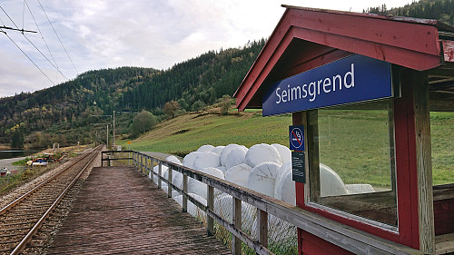 The train station at Seimsgrend
