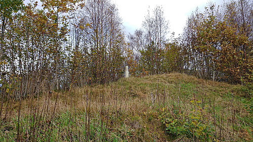 Approaching the trig marker at Sandbrekketoppen