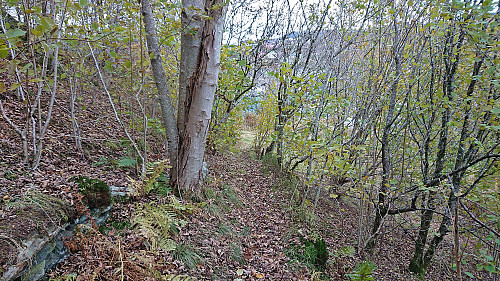 Descending from Sandbrekketoppen