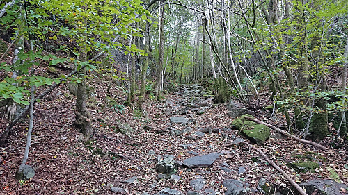 The first part of the trail to Rambjørga