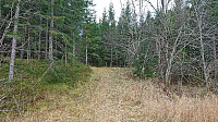 Start of the tractor road