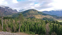 Looking back at Kongsberg