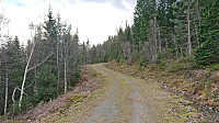 Gravel road to the trailhead