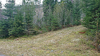 The trailhead (note the marker)