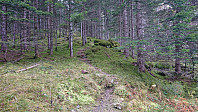 Trail along the river/stream