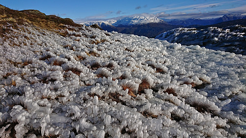 Nature's own ice sculpture factory below Svortetjørn :)