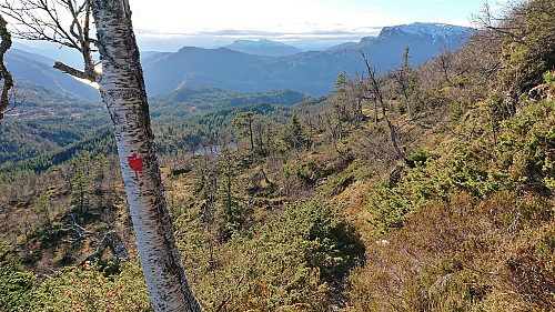 The marked trail to Litlastølen
