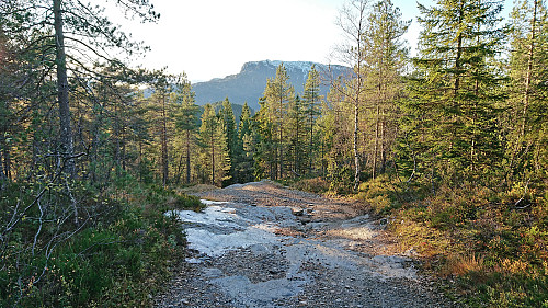 Example of the rough part of the tractor road west from Litlastølen