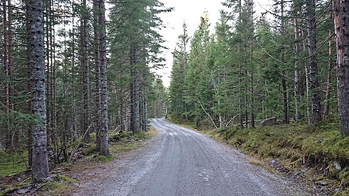 Gravel road to Vindal and Velkje