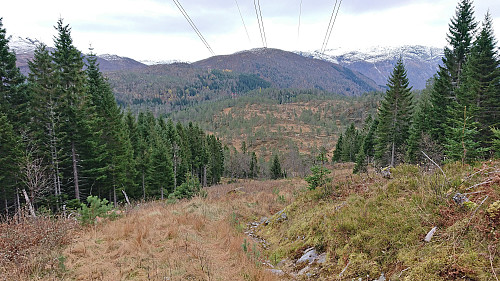 The rough tractor road underneath the powerlines with Kristinuten in the background