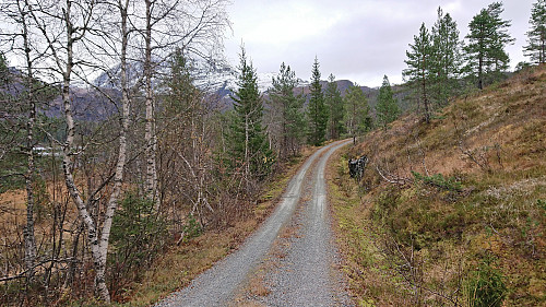 The gravel road along Solsævatnet