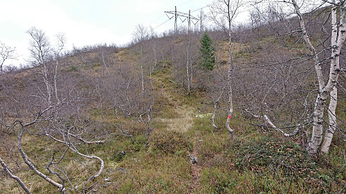 Marked trail from Jonstølen to Kristinuten