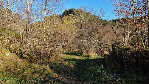 Håvegen søyle from the start of the trail