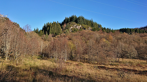 Looking up at Håvegen søyle