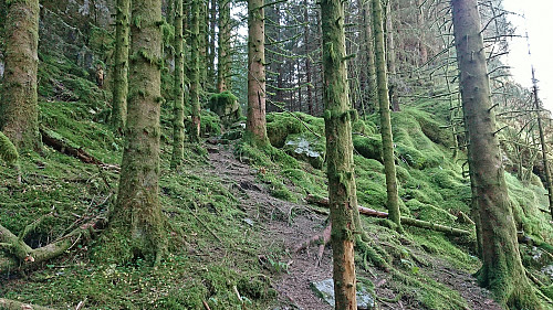 The trail to the small pass north of Håvegen søyle