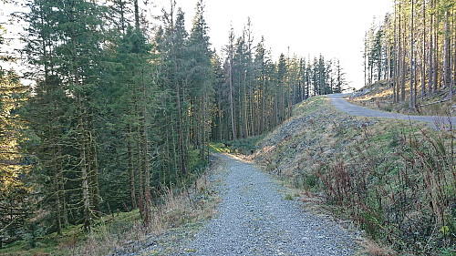 Start of the trail down to Vallalia