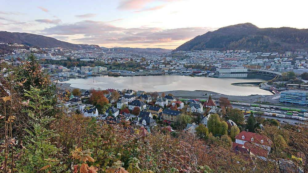 Store Lungegårdsvannet from Fjellveien with Løvstakken to the right