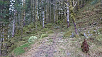 The trail along the river