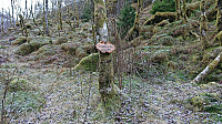 Sign for Furnesstøl