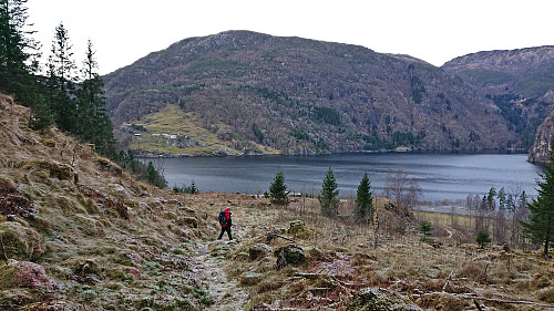 Almost back at the main road with Fornes across the fjord