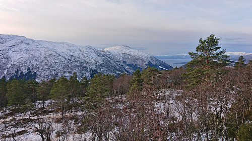 Vikanuten from the ascent of Gaddane