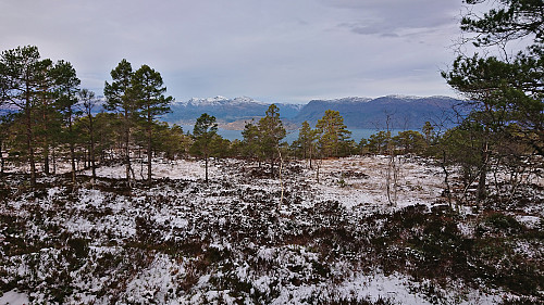 The limited views towards Hardangerfjorden from Hædna