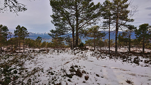 The highest point at Hædna