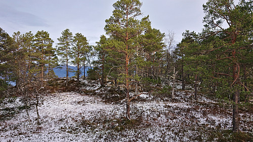 The highest point at Hædna from the south