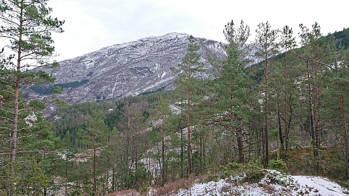 (The start of) Grytingsfjellet from Teglbu