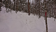 Marked trail from Øvre Øyjorda