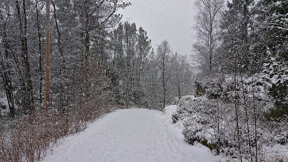 Snow shower at Furukammen