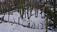 Approaching the summit