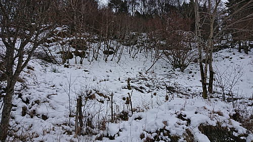Looking back at my descent route from Kråpkenipa