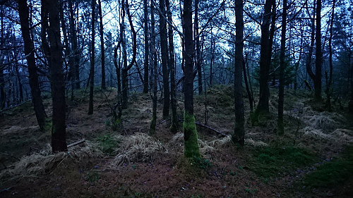 The highest point at Birkelandsfjellet