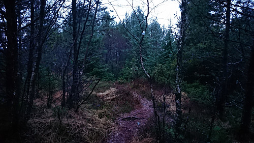 Trail towards the trig marker at Birkelandsfjellet