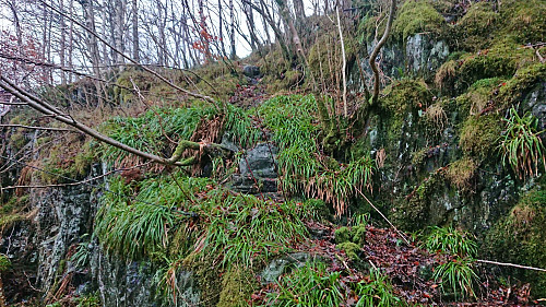 My ascent route to the trig marker