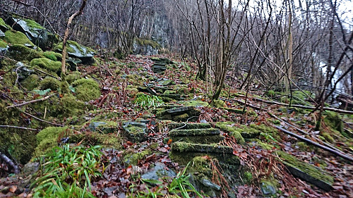 A closer look at the steps